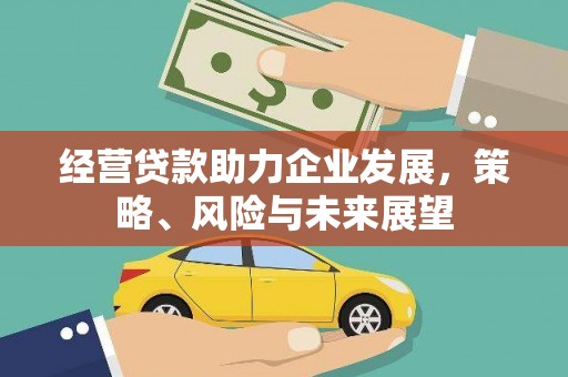 柯坪经营贷款助力企业发展，策略、风险与未来展望