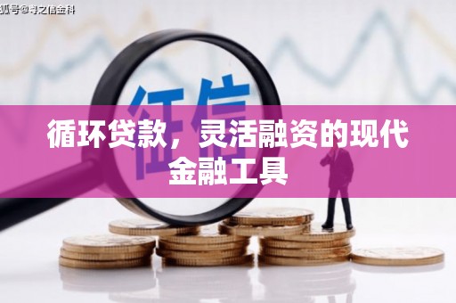 柯坪循环贷款，灵活融资的现代金融工具