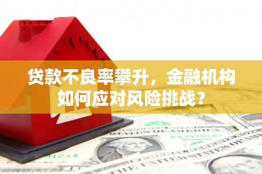 柯坪贷款不良率攀升，金融机构如何应对风险挑战？