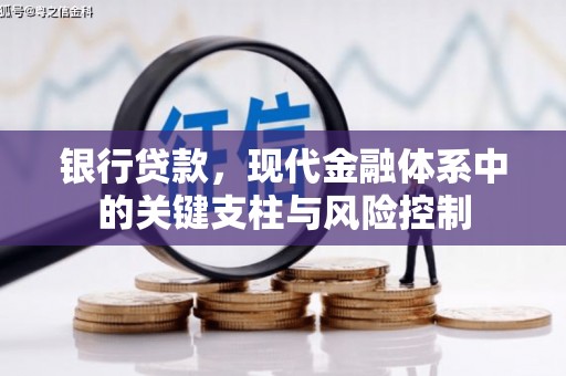 柯坪银行贷款，现代金融体系中的关键支柱与风险控制