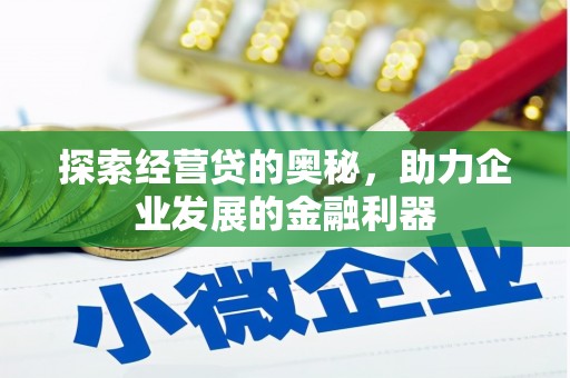 柯坪探索经营贷的奥秘，助力企业发展的金融利器