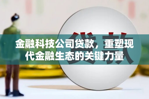 柯坪金融科技公司贷款，重塑现代金融生态的关键力量