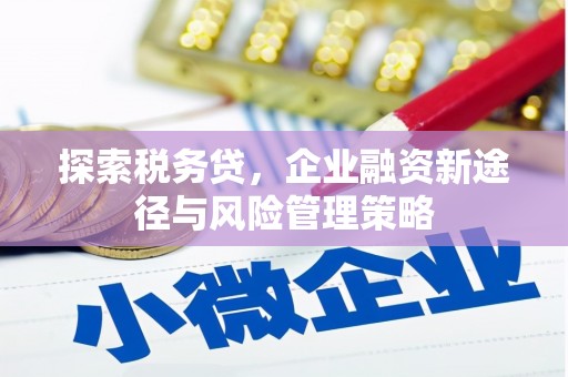 柯坪探索税务贷，企业融资新途径与风险管理策略