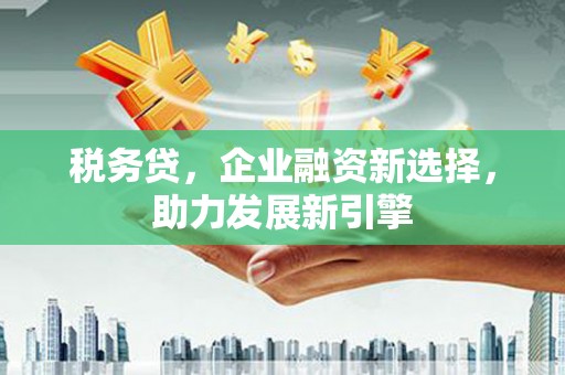 柯坪税务贷，企业融资新选择，助力发展新引擎