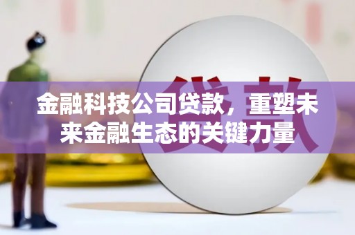 柯坪金融科技公司贷款，重塑未来金融生态的关键力量