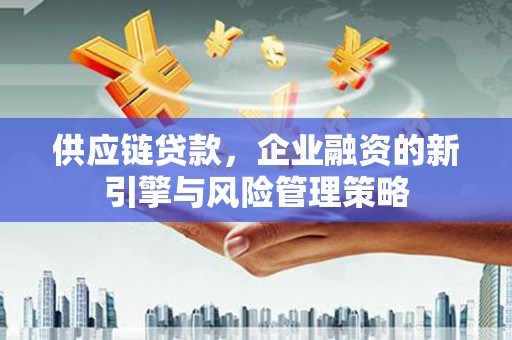 柯坪供应链贷款，企业融资的新引擎与风险管理策略