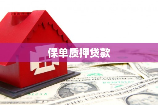 柯坪保单质押贷款