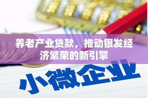 柯坪养老产业贷款，推动银发经济繁荣的新引擎
