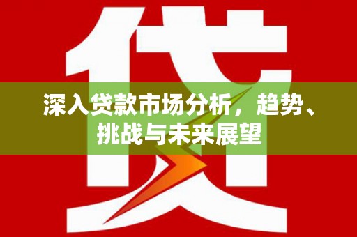 柯坪深入贷款市场分析，趋势、挑战与未来展望