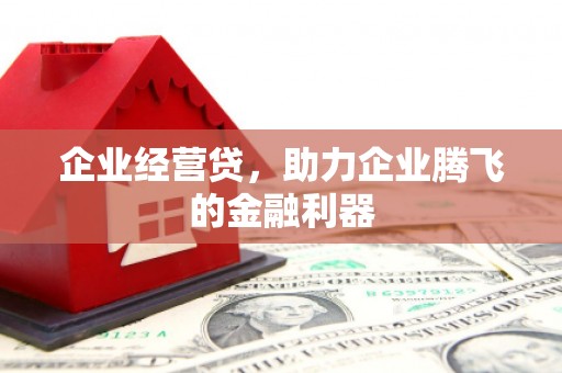 柯坪企业经营贷，助力企业腾飞的金融利器