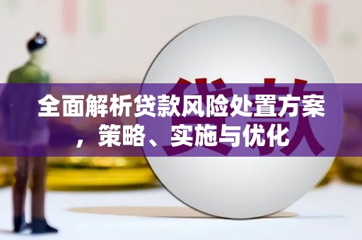 柯坪全面解析贷款风险处置方案，策略、实施与优化