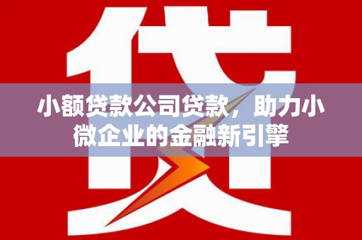 柯坪小额贷款公司贷款，助力小微企业的金融新引擎