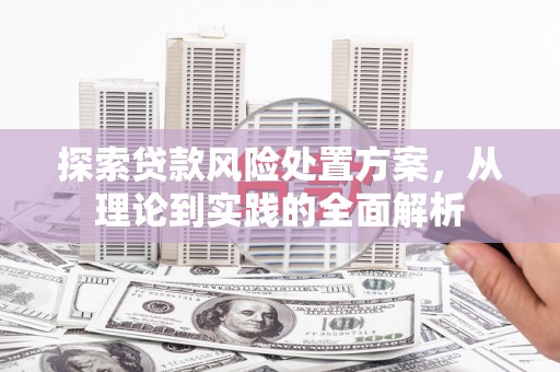 柯坪探索贷款风险处置方案，从理论到实践的全面解析