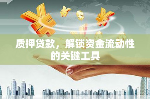 柯坪质押贷款，解锁资金流动性的关键工具