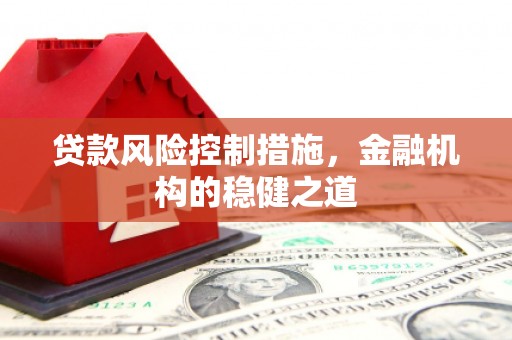 柯坪贷款风险控制措施，金融机构的稳健之道