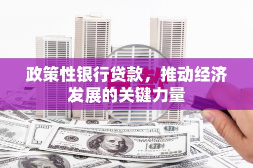 柯坪政策性银行贷款，推动经济发展的关键力量