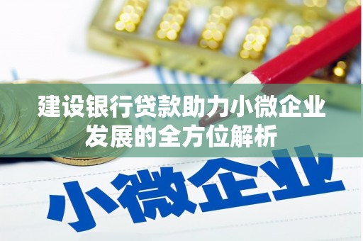 柯坪建设银行贷款助力小微企业发展的全方位解析