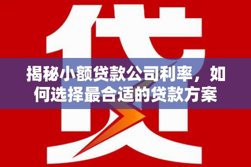 柯坪揭秘小额贷款公司利率，如何选择最合适的贷款方案