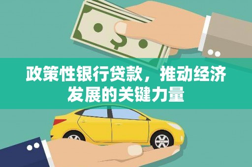 柯坪政策性银行贷款，推动经济发展的关键力量