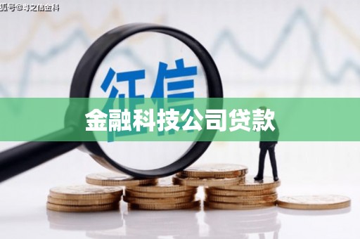 柯坪金融科技公司贷款