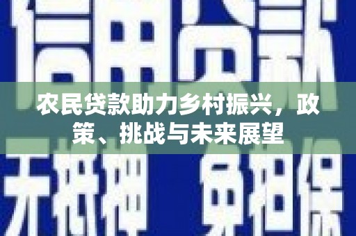 柯坪农民贷款助力乡村振兴，政策、挑战与未来展望