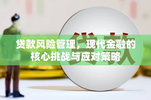 柯坪贷款风险管理，现代金融的核心挑战与应对策略