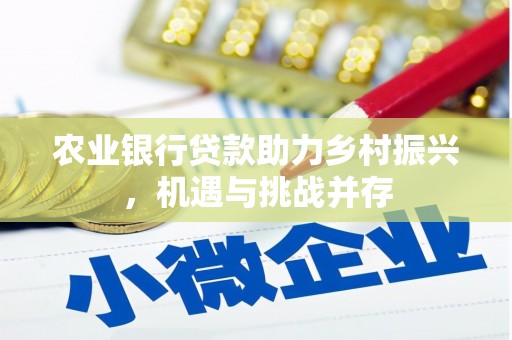 柯坪农业银行贷款助力乡村振兴，机遇与挑战并存
