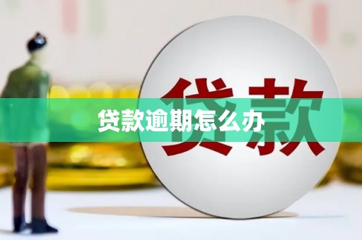 柯坪贷款逾期怎么办