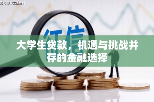 柯坪大学生贷款，机遇与挑战并存的金融选择