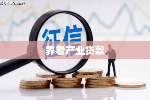 柯坪养老产业贷款