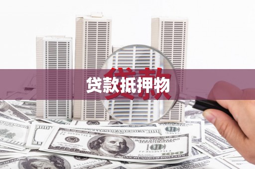 柯坪贷款抵押物