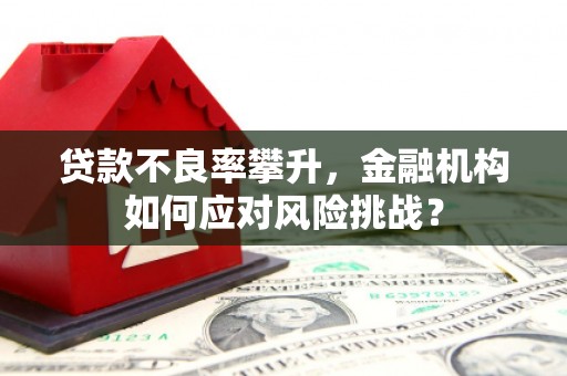 柯坪贷款不良率攀升，金融机构如何应对风险挑战？