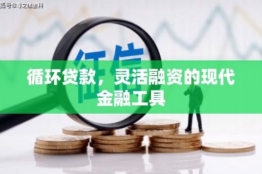 柯坪循环贷款，灵活融资的现代金融工具