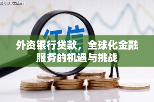 柯坪外资银行贷款，全球化金融服务的机遇与挑战