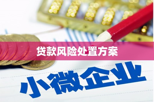 柯坪贷款风险处置方案