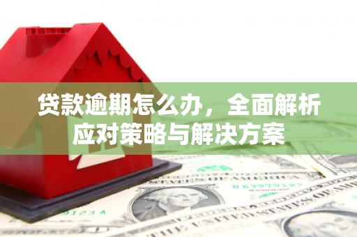 柯坪贷款逾期怎么办，全面解析应对策略与解决方案