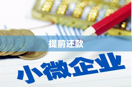 柯坪提前还款