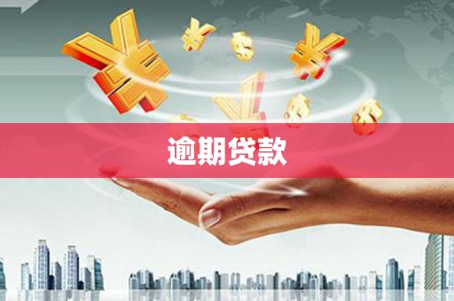 柯坪逾期贷款